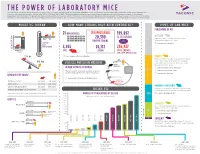 THE POWER of LABORATORY MICE Since the First Published Study Using Mice in 1844, Over 1.4 Million Scholarly Articles Have Been Published