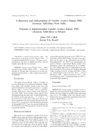 A Discovery and Redescription of Curubis Erratica Simon, 1902 (Araneae: Salticidae) from India