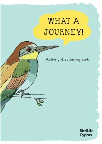 Activity & Colouring Book