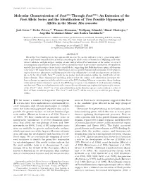 An Extension of the Pax6 Allelic Series and the Identification Of