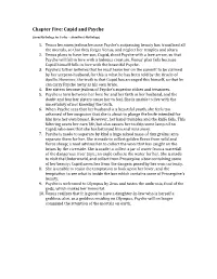 Chapter Five: Cupid and Psyche