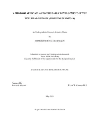 HEMINGSON-DOCUMENT-2014.Pdf (872.0Kb)