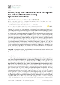 Bacteria, Fungi and Archaea Domains in Rhizospheric Soil and Their Eﬀects in Enhancing Agricultural Productivity