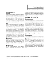 Tetralogy of Fallot