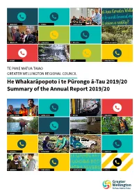 Greater Wellington Regional Council Summary Report 2018/2019