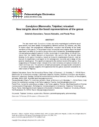 Condylura (Mammalia, Talpidae) Reloaded: New Insights About the Fossil Representatives of the Genus