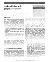 "Leaf and Internode". In: Encyclopedia of Life Sciences