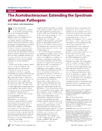 The Acetobacteraceae: Extending the Spectrum of Human Pathogens David Fredricks, Lalita Ramakrishnan