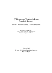 Within-Species Variation in Grass Weeds in Sweden
