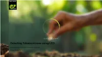 Detecting Tobamoviruses Using LED