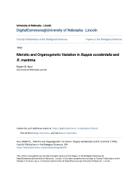 Meristic and Organogenetic Variation in Ruppia Occidentalis and R