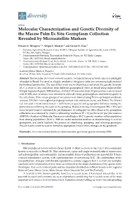 Molecular Characterization and Genetic Diversity of the Macaw Palm Ex Situ Germplasm Collection Revealed by Microsatellite Markers