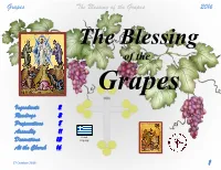 Of the Grapes 2016 the Blessing of the Grapes