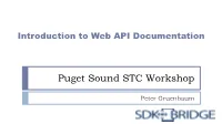 Introduction to Web API Documentation