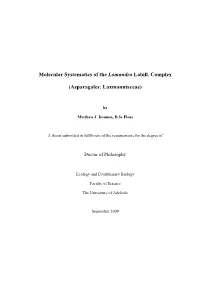 Molecular Systematics of the Lomandra Labill. Complex