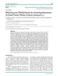 RNA-Seq and Itraq Reveal the Dwarfing Mechanism of Dwarf