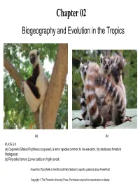 Chapter 02 Biogeography and Evolution in the Tropics