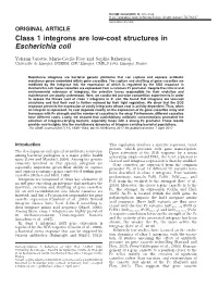 Class 1 Integrons Are Low-Cost Structures in Escherichia Coli