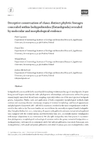 Deceptive Conservatism of Claws: Distinct Phyletic Lineages Concealed Within Isohypsibioidea (Eutardigrada) Revealed by Molecular and Morphological Evidence