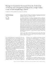 LETHAIA Ordovician of Estonia: Two Ichnogenera Produced by a Single Maker, a Case of Host Morphology Control