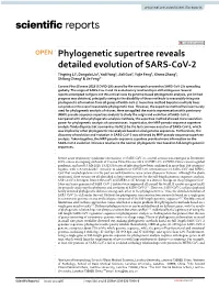 Phylogenetic Supertree Reveals Detailed Evolution of SARS-Cov-2