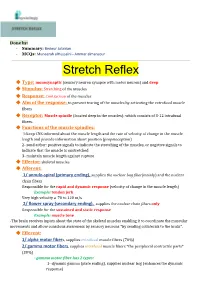 6-Stretch Reflex