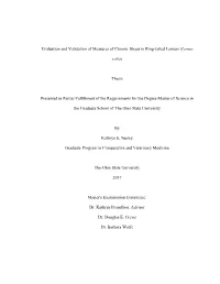 Lemur Catta) As a Potential Means of Evaluating Health in Captive and Wild Lemur Populations