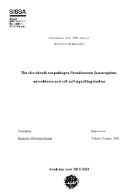 The Rice Sheath Rot Pathogen Pseudomonas Fuscovaginae;