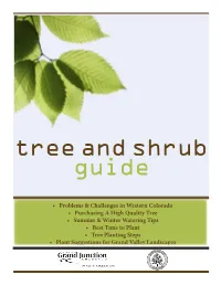 Tree and Shrub Guide