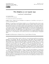 Why Dolphins Are Not Aquatic Apes