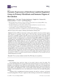 Dynamic Expression of Interferon Lambda Regulated Genes in Primary Fibroblasts and Immune Organs of the Chicken