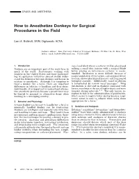 How to Anesthetize Donkeys for Surgical Procedures in the Field