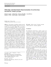 Molecular and Functional Characterization of an Invertase Secreted by Ashbya Gossypii