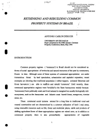 Rethinking and Rebuilding Common Property Systems in Brazil