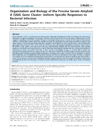 (SAA) Gene Cluster: Isoform Specific Responses to Bacterial Infection