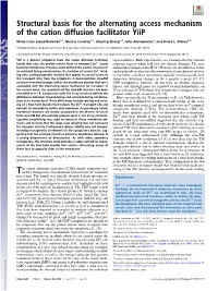 Structural Basis for the Alternating Access Mechanism of the Cation Diffusion Facilitator Yiip