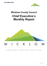 Chief Executive Report -October 2020 File Type .Pdf