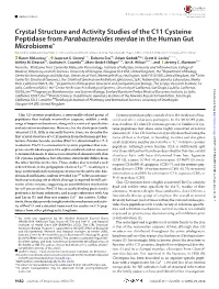Crystal Structure and Activity Studies of the C11 Cysteine