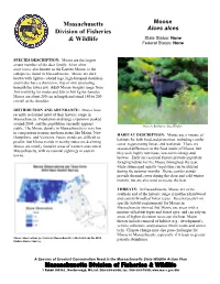 Moose Alces Alces Division of Fisheries & Wildlife State Status: None Federal Status: None
