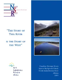 NSR Background Study 2005