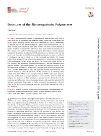 Structures of the Mononegavirales Polymerases