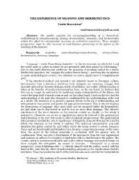 The Experience of Meaning and Hermeneutics
