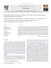 Dissociable Large-Scale Networks Anchored in the Right Anterior Insula Subserve Affective Experience and Attention