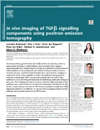 In Vivo Imaging of Tgfβ Signalling Components Using Positron