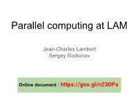 Parallel Computing at LAM