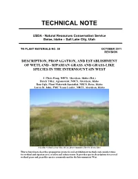 Technical Note 38: Description, Propagation, and Establishment of Wetland-Riparian Grass and Grass-Like Species Of