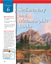 Chapter 6: Sedimentary and Metamorphic Rocks