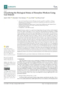 Classifying the Biological Status of Honeybee Workers Using Gas Sensors