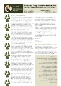 PDC Newsletter June 2010.Pdf