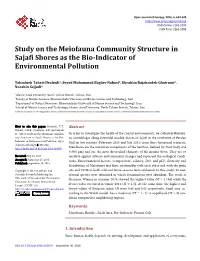 Study on the Meiofauna Community Structure in Sajafi Shores As the Bio-Indicator of Environmental Pollution